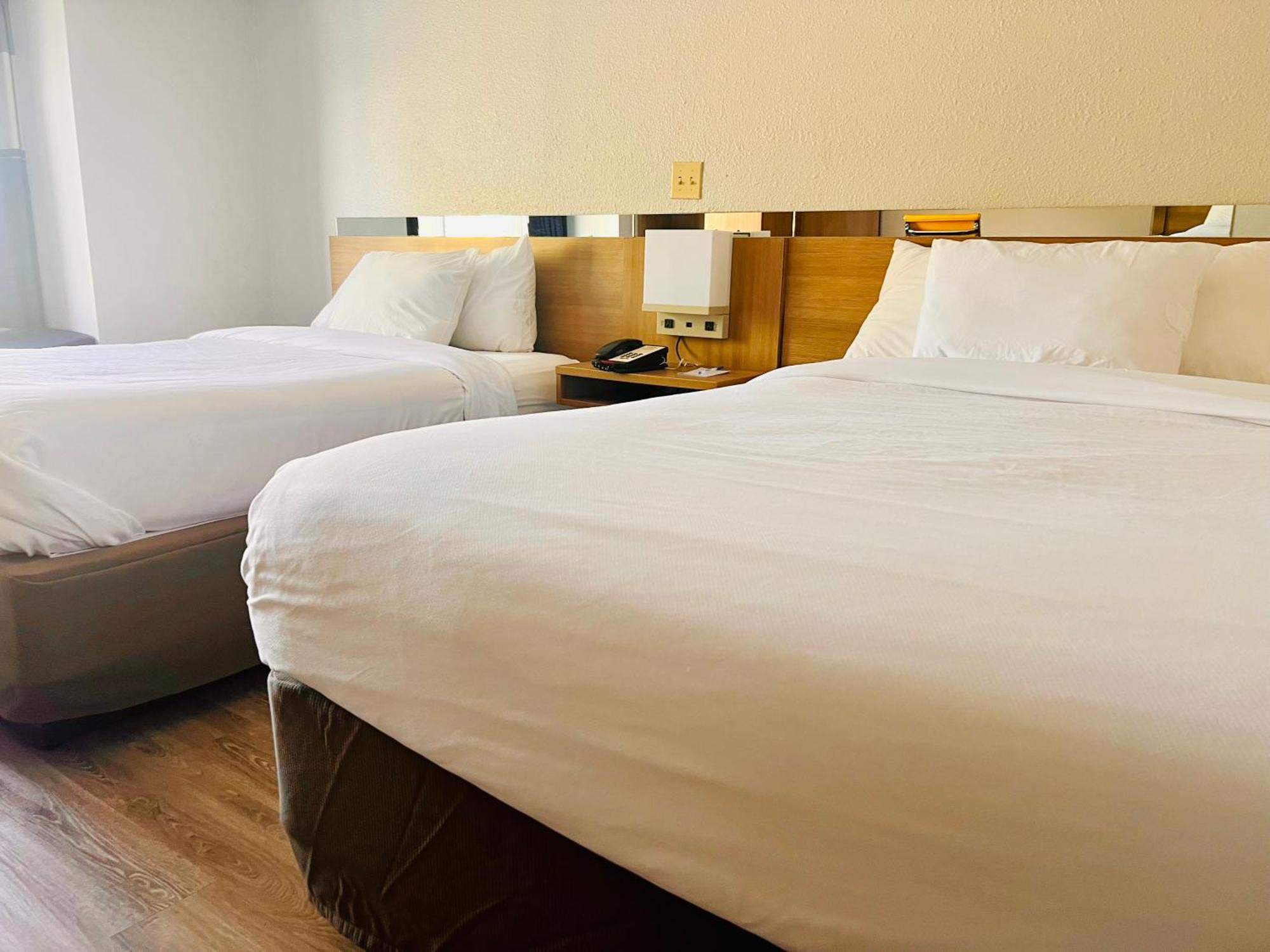 Microtel Inn By Wyndham Lexington Zewnętrze zdjęcie